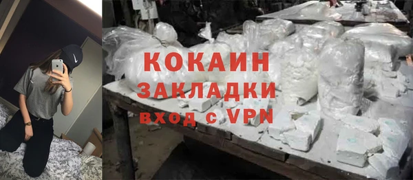 PSILOCYBIN Дмитриев