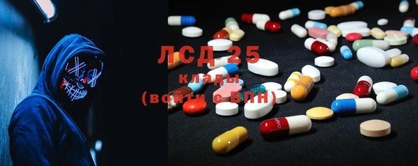 spice Елизово