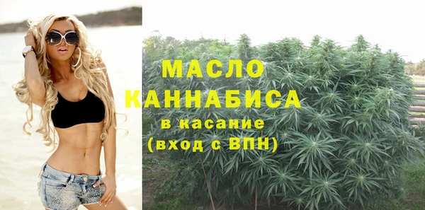 дмт Дмитровск