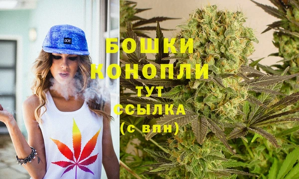 spice Елизово