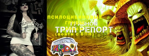 a pvp Ельня