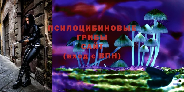 spice Елизово