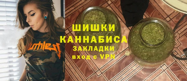 PSILOCYBIN Дмитриев