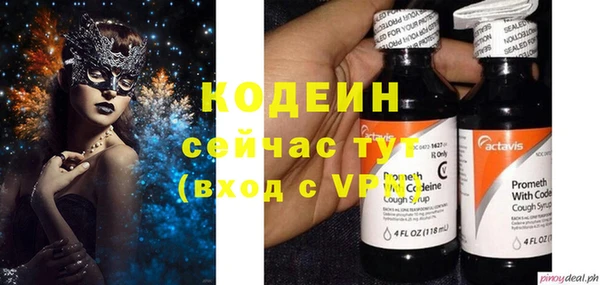 a pvp Ельня