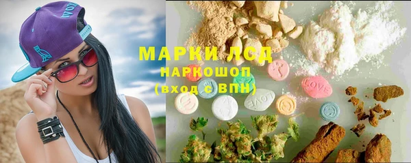 PSILOCYBIN Дмитриев