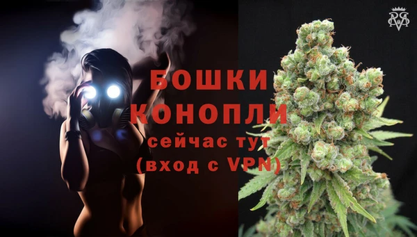 дмт Дмитровск