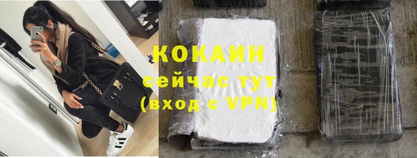 дмт Дмитровск